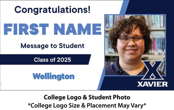 Wellington – Option C - Image 2
